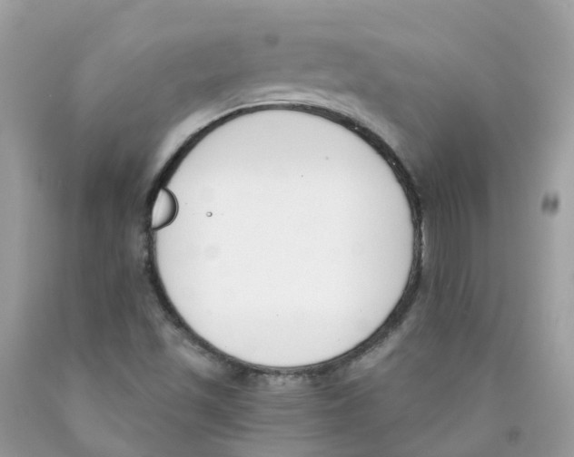 X0000089831501200707262013