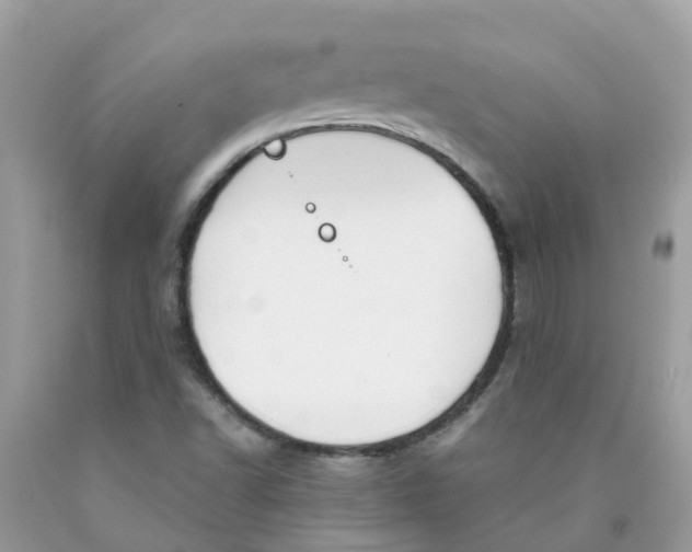 X0000089831502200707262013