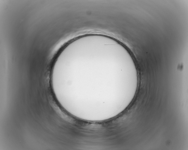 X0000089831503200707262013