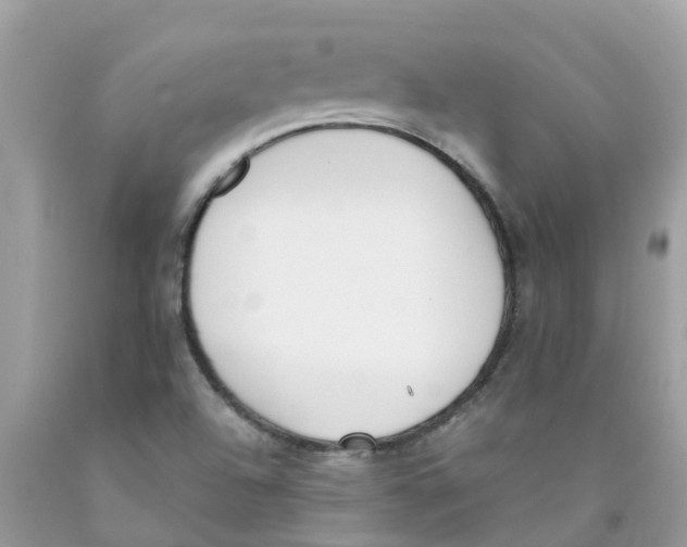 X0000089831504200707262013