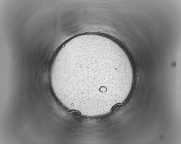 X0000089831505200707262013