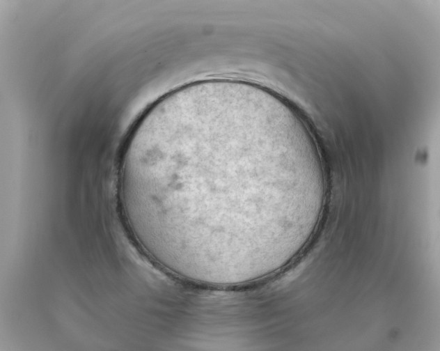 X0000089831506200707262013