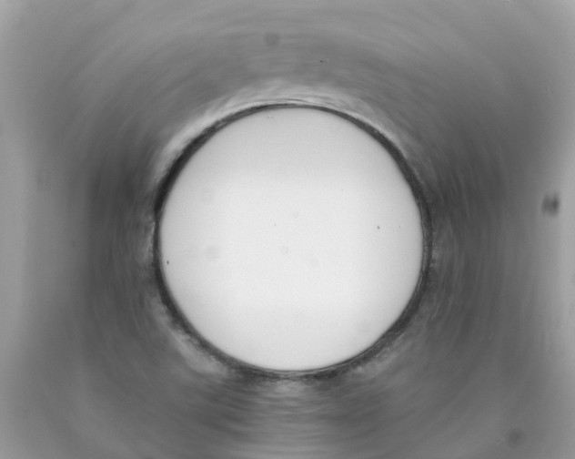 X0000089831507200707262013