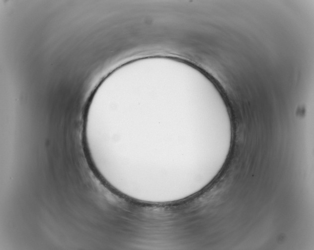 X0000089831508200707262013