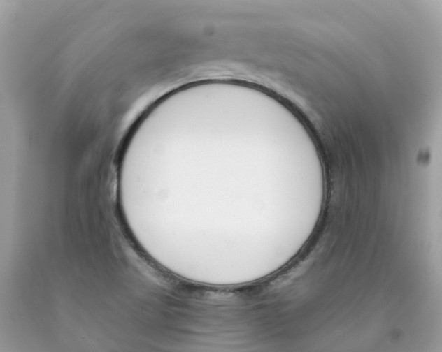 X0000089831509200707262013