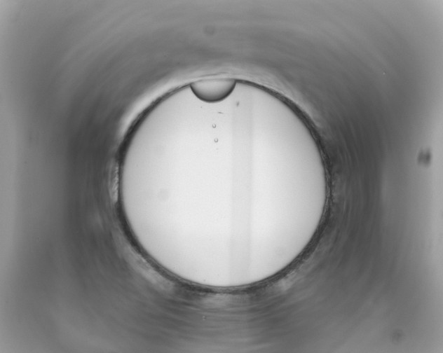 X0000089831510200707262013