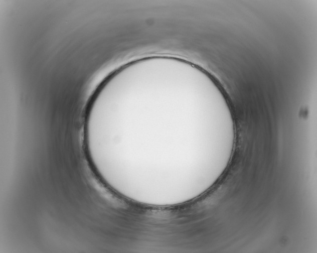 X0000089831511200707262013