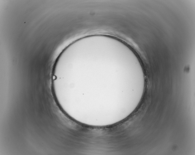 X0000089831512200707262013