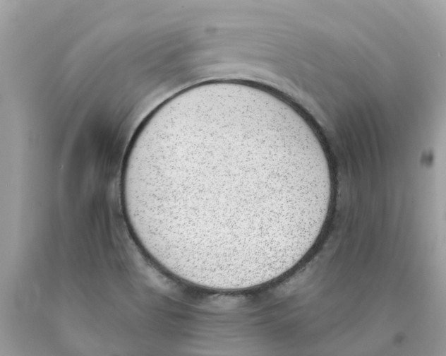 X0000089831513200707262013