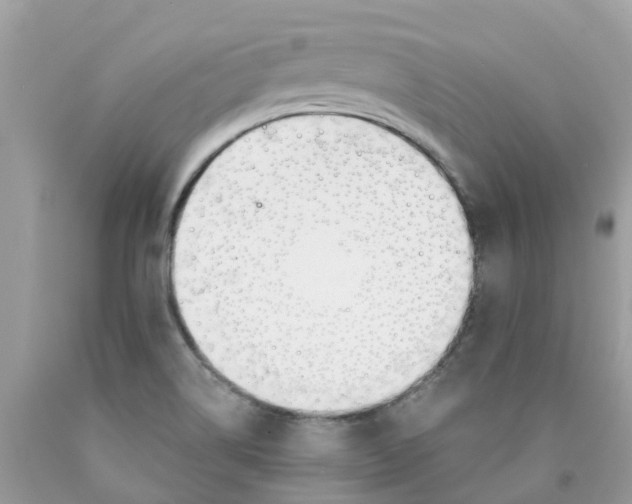 X0000089831514200707262013