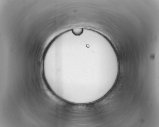 X0000089831515200707262013