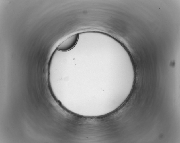 X0000089831516200707262013