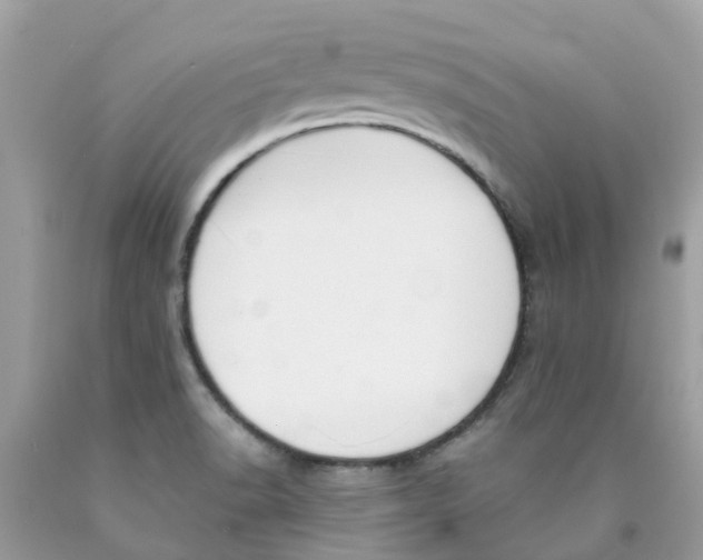 X0000089831518200707262013