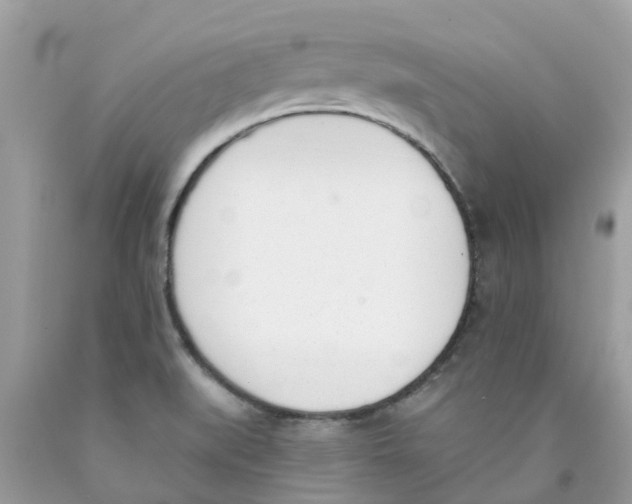 X0000089831519200707262013