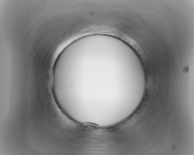 X0000089831520200707262013