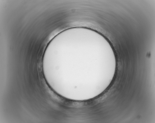 X0000089831521200707262013