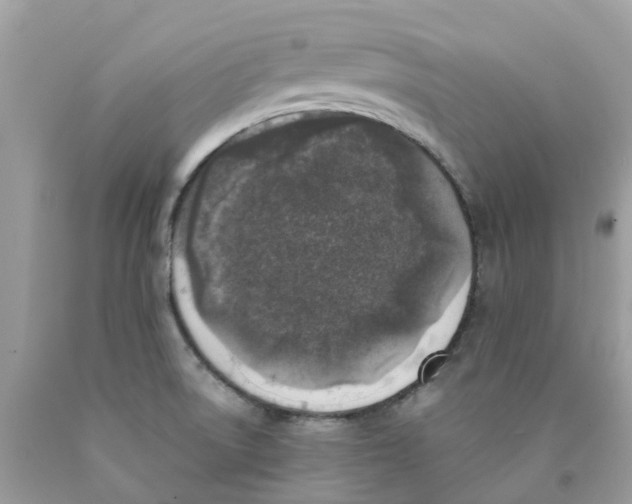 X0000089831522200707262013