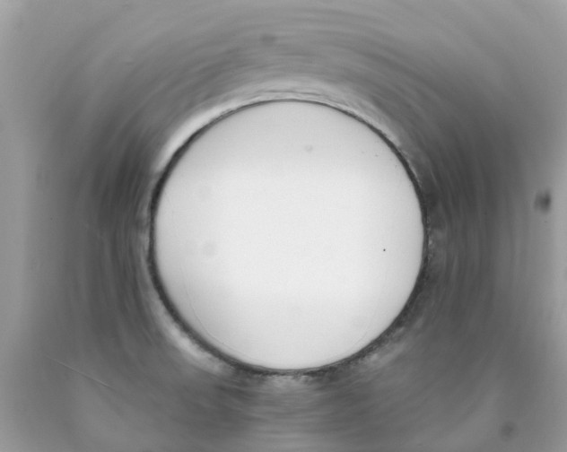 X0000089831523200707262013