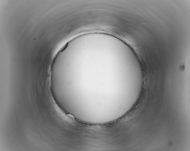 X0000089831524200707262013