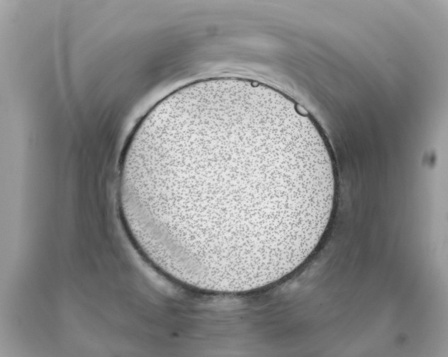 X0000089831525200707262013