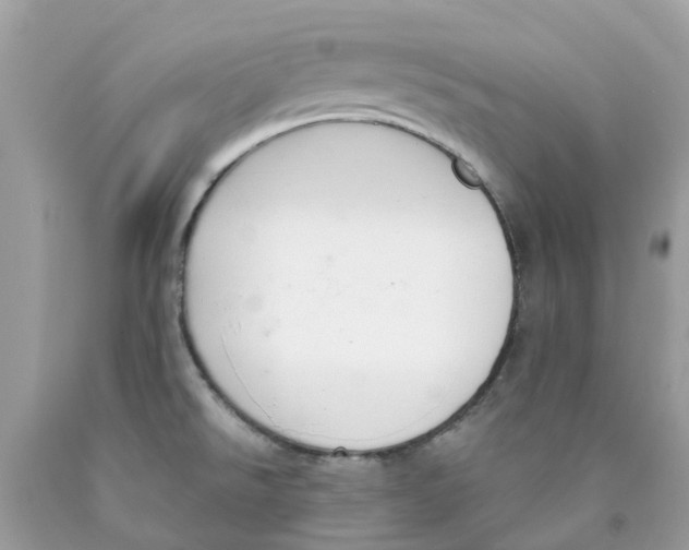 X0000089831526200707262013