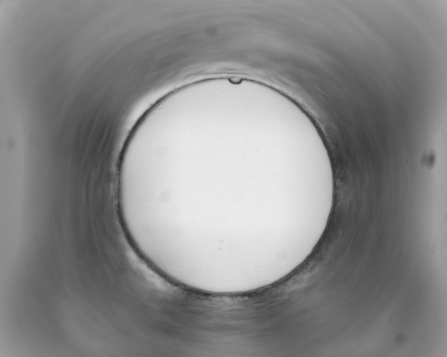 X0000089831527200707262013