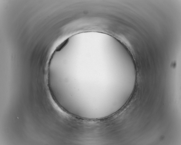 X0000089831528200707262013