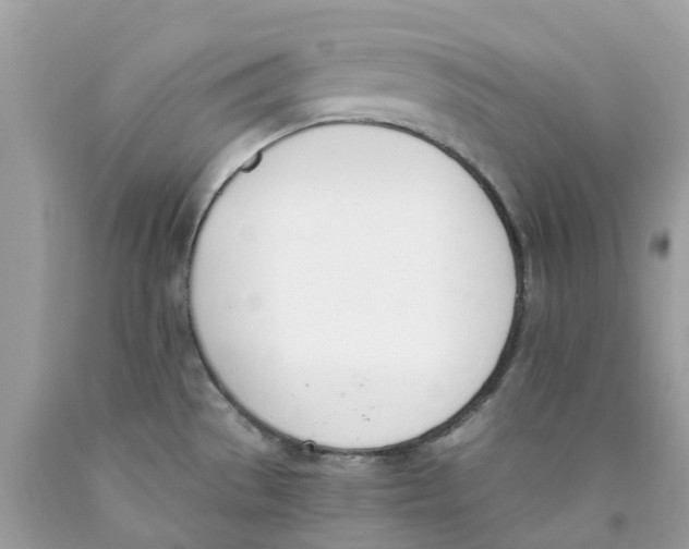 X0000089831529200707262013