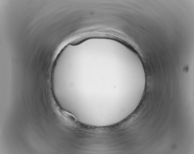 X0000089831530200707262013