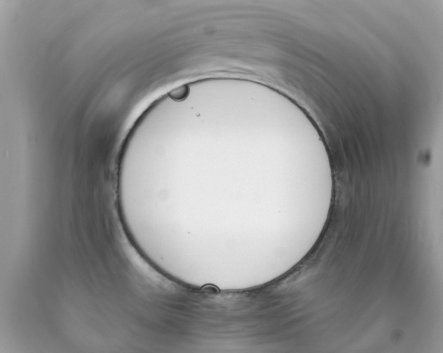 X0000089831531200707262013