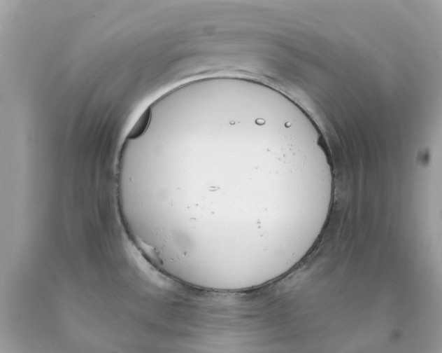 X0000089831532200707262013