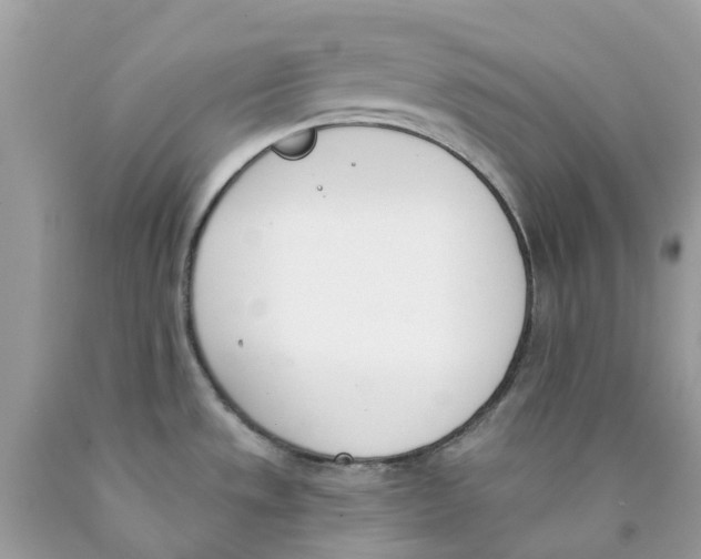 X0000089831533200707262013