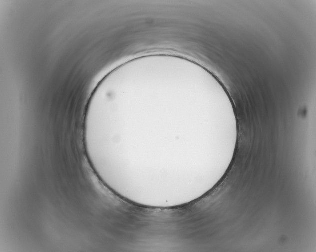 X0000089831534200707262013