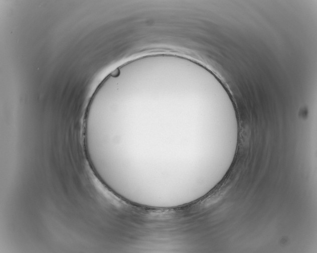 X0000089831535200707262013