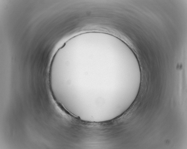 X0000089831536200707262013