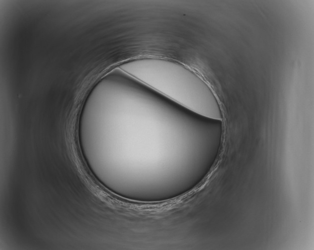 X0000089850001200706281030