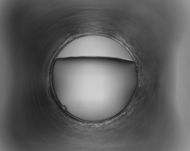 X0000089850002200706281030