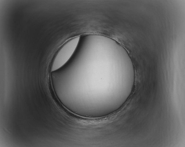 X0000089850005200706281030