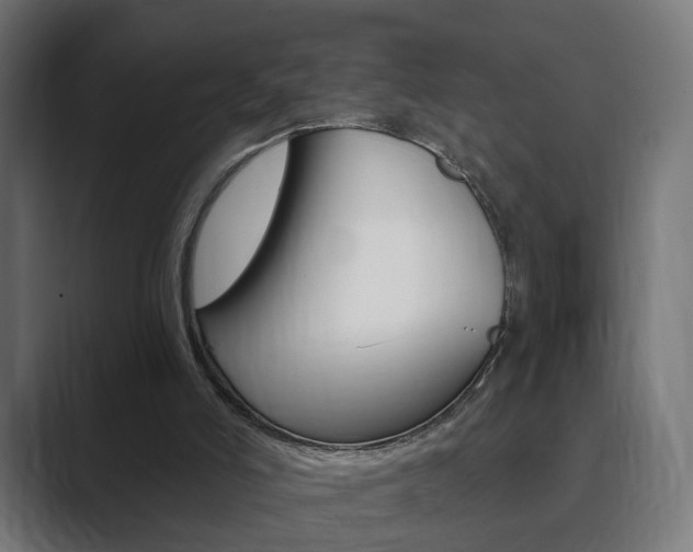 X0000089850006200706281030