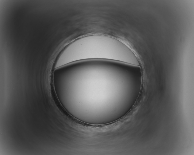 X0000089850007200706281030