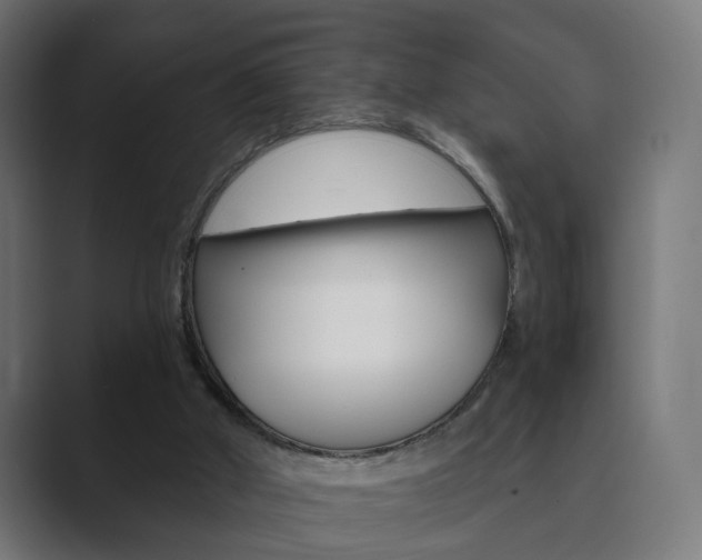 X0000089850010200706281030