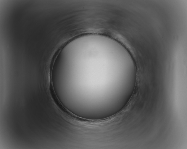 X0000089850011200706281030