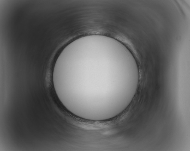 X0000089850012200706281030