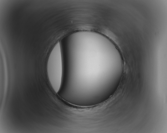 X0000089850013200706281030