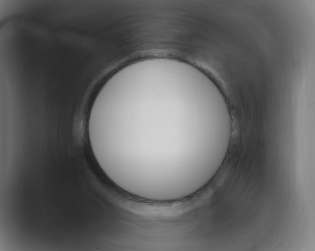 X0000089850016200706281030