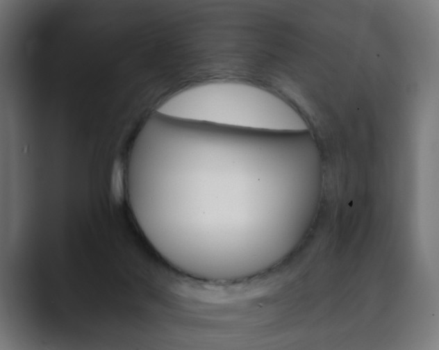 X0000089850022200706281030