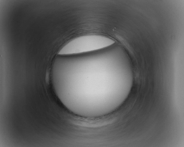 X0000089850026200706281029