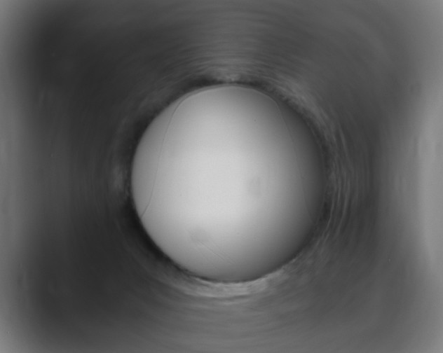 X0000089850031200706281029