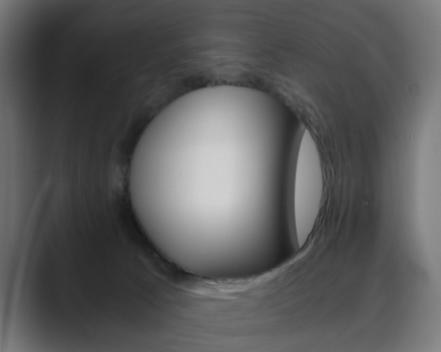 X0000089850033200706281029