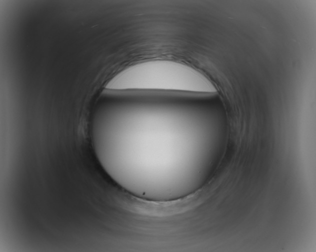 X0000089850035200706281029